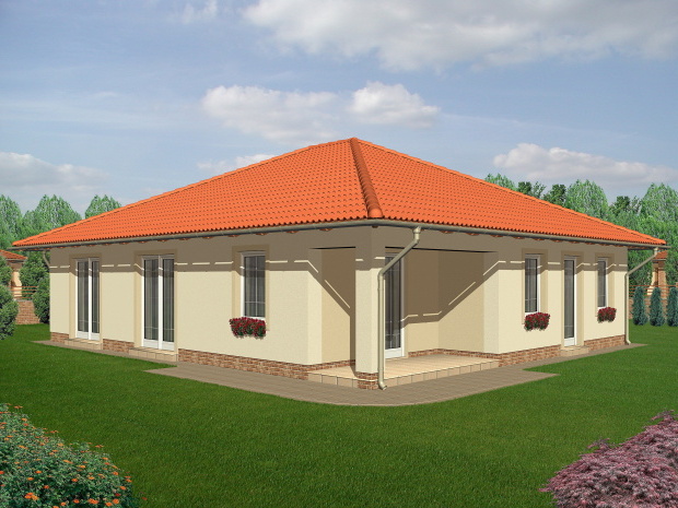 Array - perspektiva PL